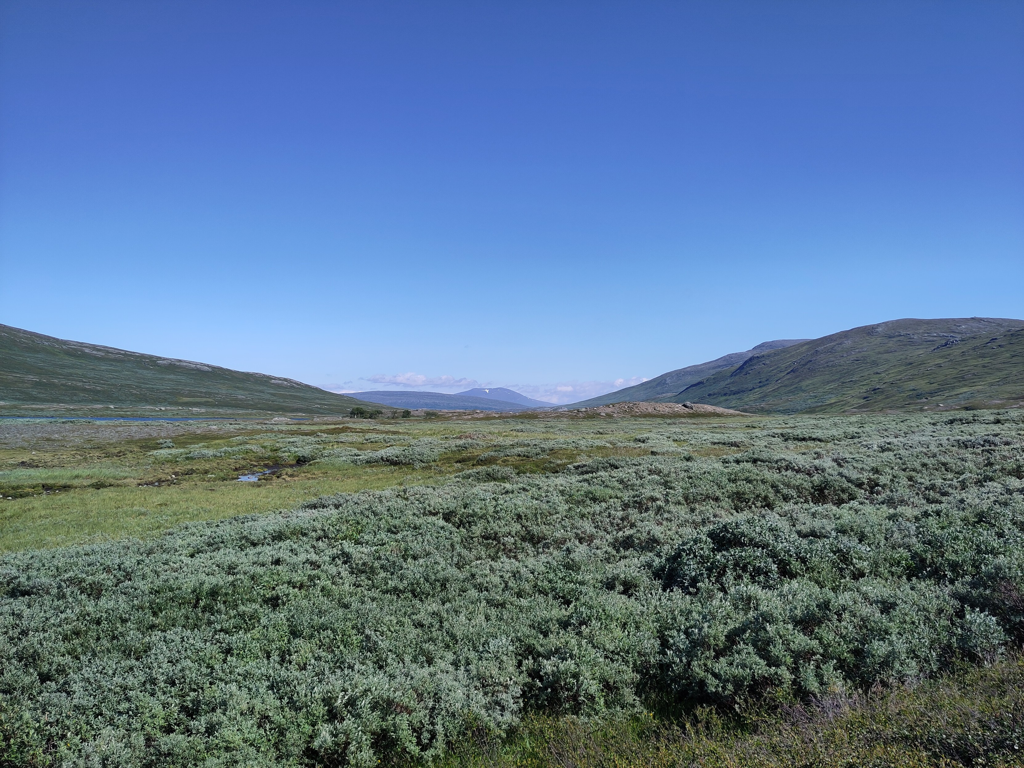 A wide open expanse with vide in the foreground and hills in the background under a blue sky.