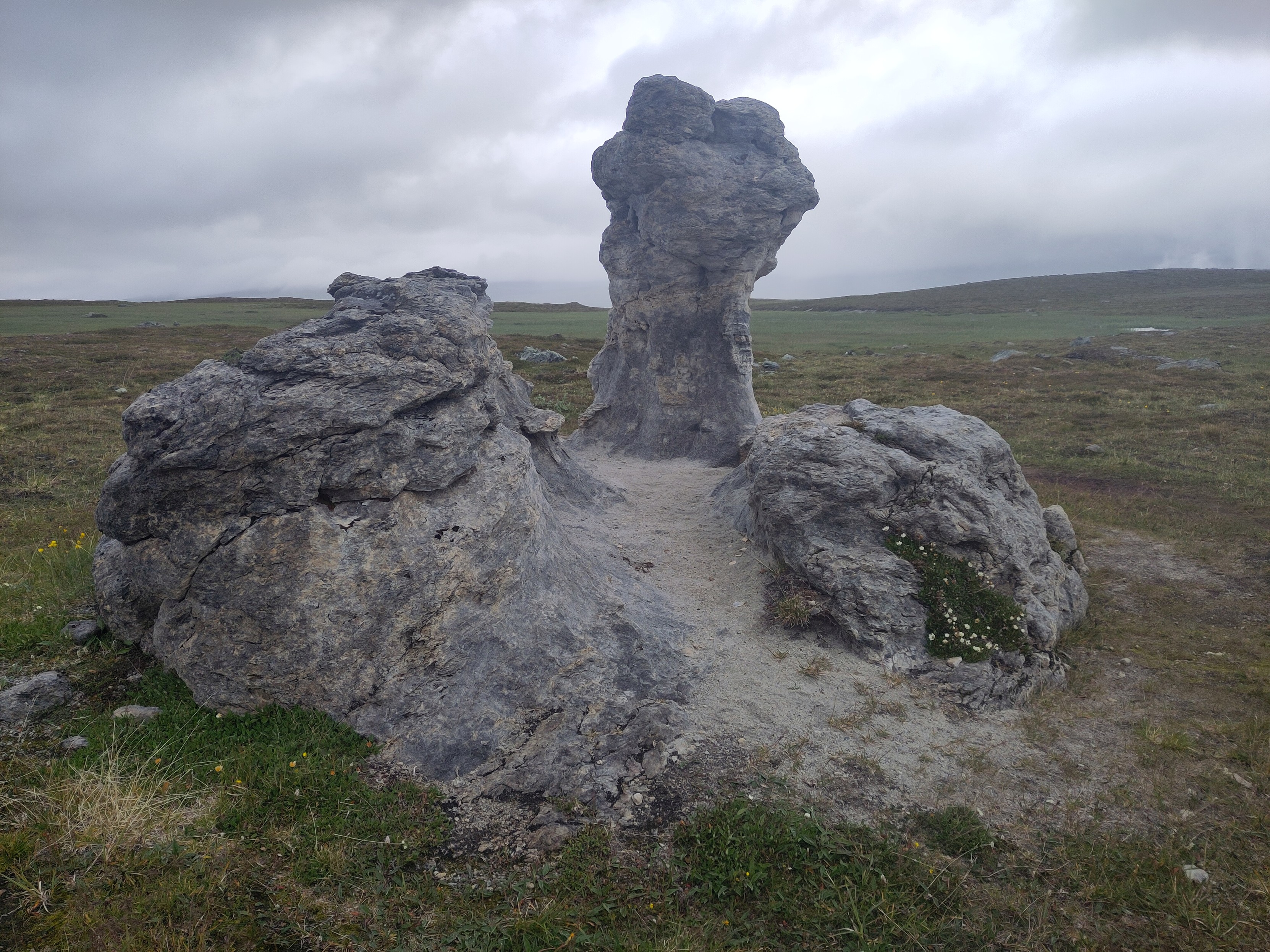 A wind-formed rock that stands up from the ground, roughly shaped like a fist