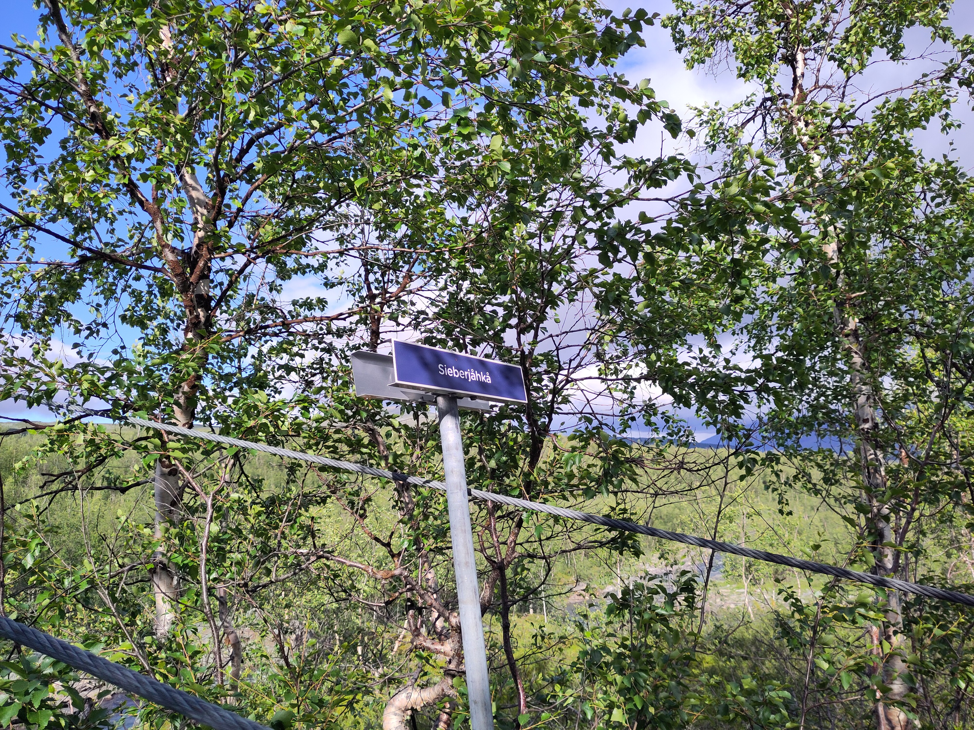 A sign in sparse birch woods for "Sieberjåhka", or the cyber stream as one might want to call it.