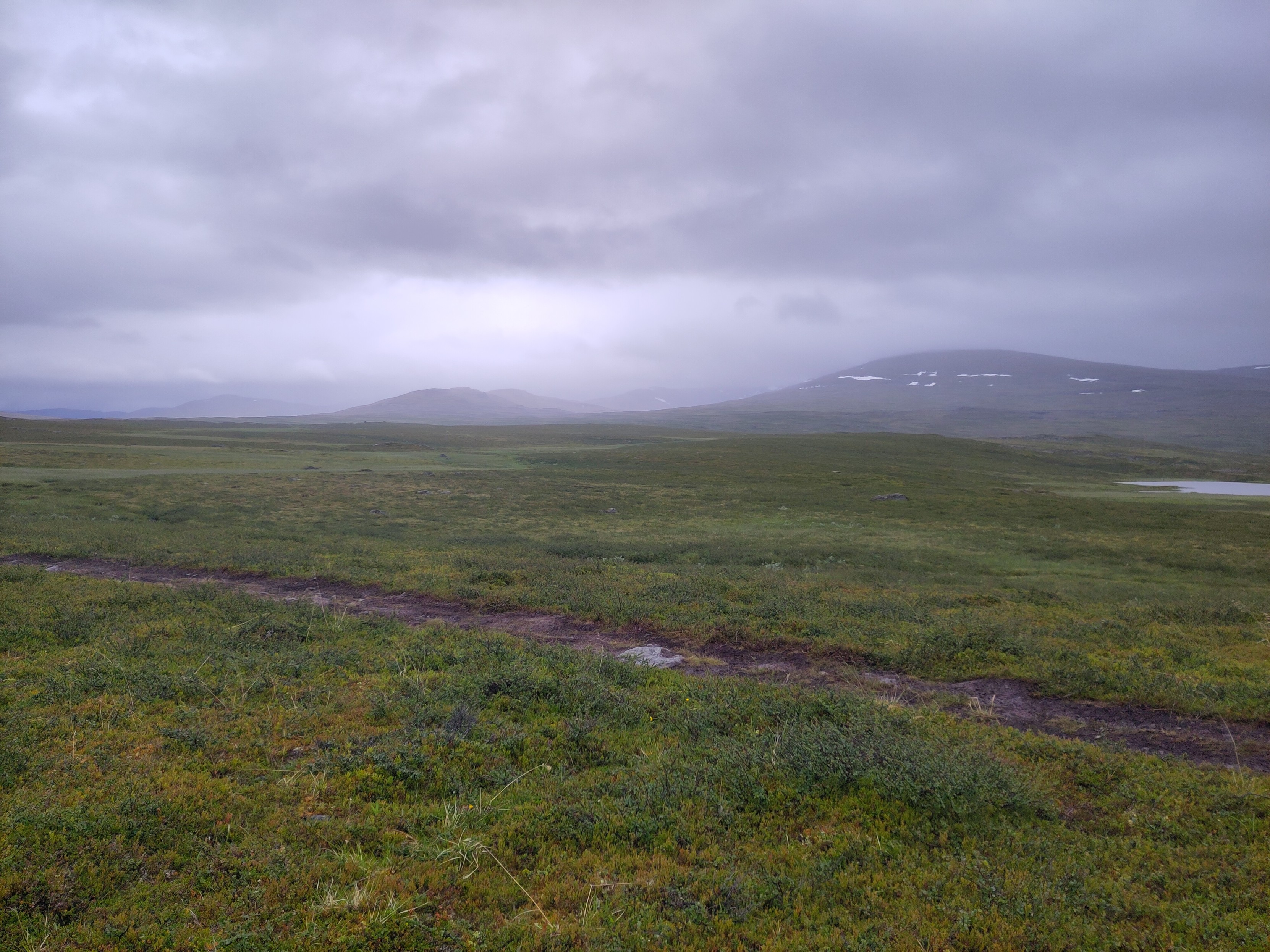 A wide expanse of green low growth with a trail, over in the distance round hills are getting plenty of rain