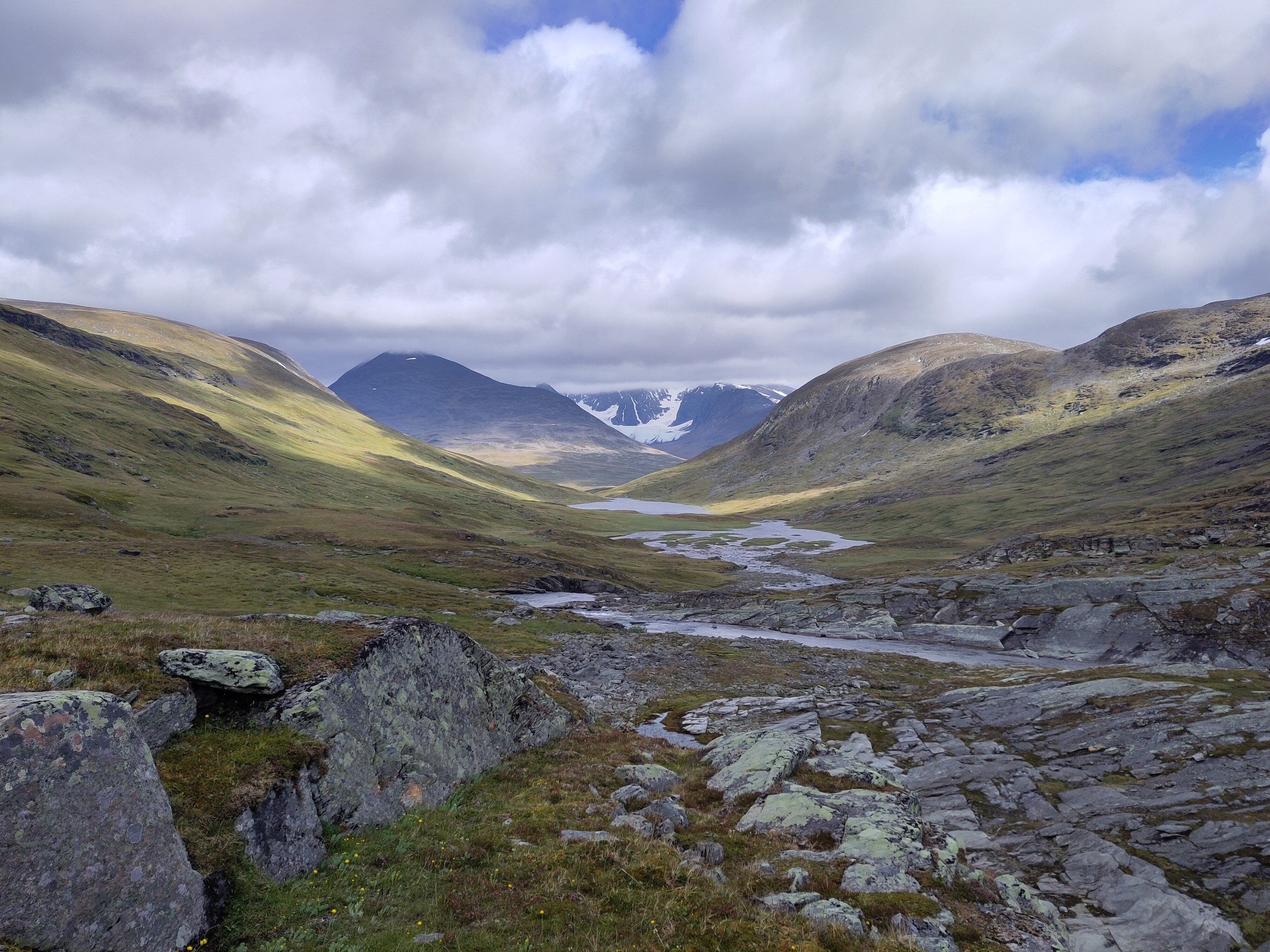 A greenish mountain valley with a wide stream in the bottom. Beyond the valley mouth there are darker mountains with a glacier.