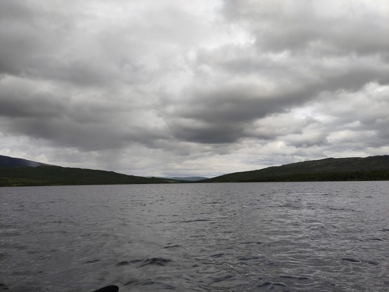 Posted media